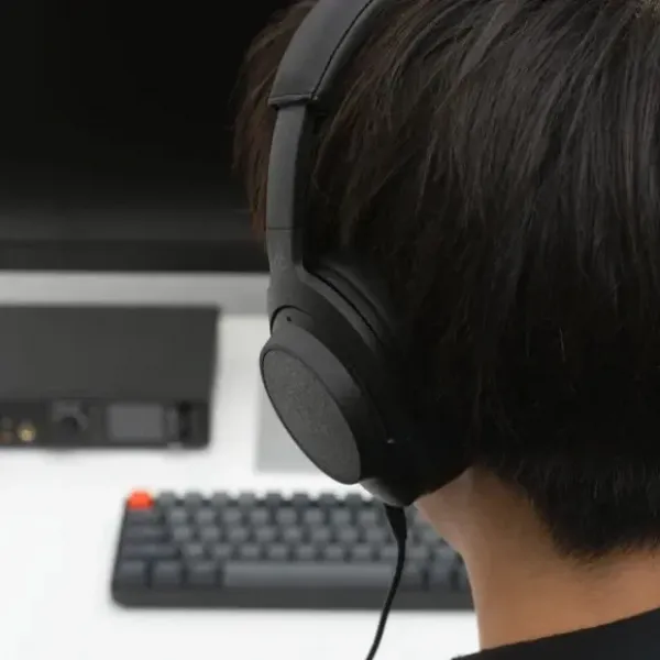 Навушники Final Audio UX5000 (Black)