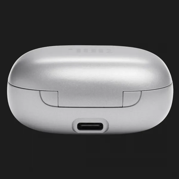 Навушники JBL Live Flex (Silver)