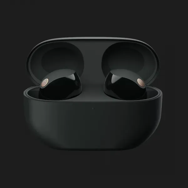 Навушники Sony WF-1000XM5 Wireless Noise Cancelling Headphones (Black)
