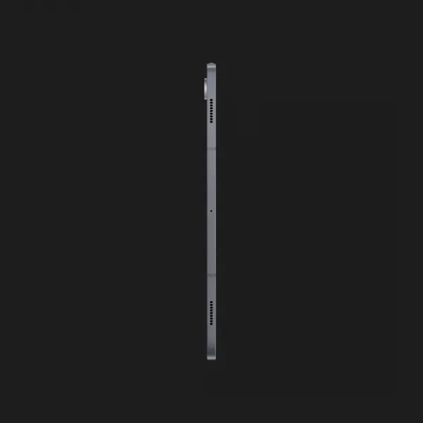 Планшет Samsung Galaxy Tab S10 Plus 5G 12/256GB (Moonstone Gray) (Standard)